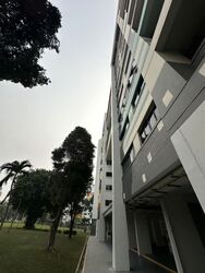 Tampines Street 42 (Tampines), Multi Generation #633661951